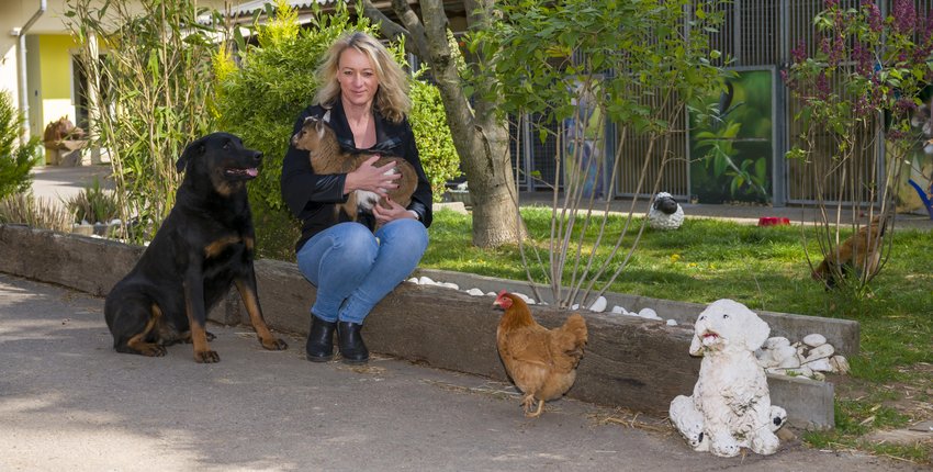 Chantal Maquet. Fondatrice, Déierepensioun Lassie
Le vaste domaine de Déierepensioun Lassie peut accueillir jusqu’à 150 animaux...
... soit environ 80 chiens, 50 chats et 30 petits animaux
En plus des animaux hébergés, la pension dispose d’une